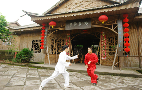 习武练拳（缠丝拳）